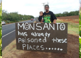 Monsanto wins victory over organic farmers
